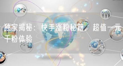 独家揭秘：快手涨粉秘籍，超值一元千粉体验