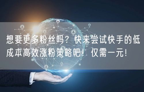 想要更多粉丝吗?快来尝试快手的低成本高效涨粉策略吧!仅需一元!