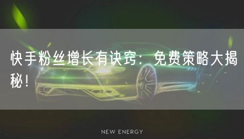 快手粉丝增长有诀窍：免费策略大揭秘！