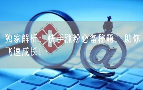 独家解析:快手涨粉必备秘籍,助你飞速成长!