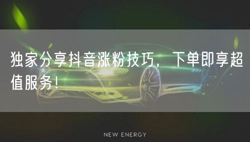 独家分享抖音涨粉技巧,下单即享超值服务!