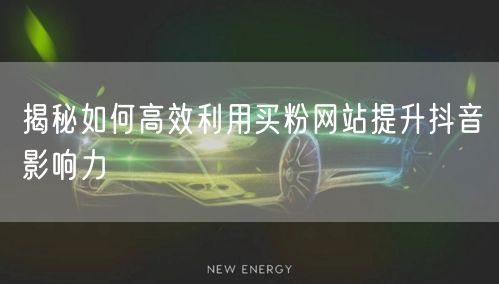 揭秘如何高效利用买粉网站提升抖音影响力