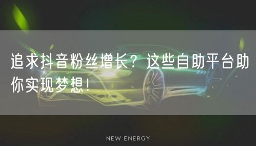 追求抖音粉丝增长?这些自助平台助你实现梦想!