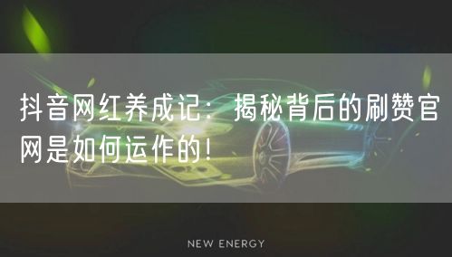 抖音网红养成记：揭秘背后的刷赞官网是如何运作的！