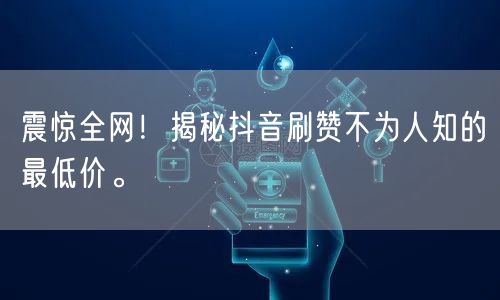 震惊全网!揭秘抖音刷赞不为人知的最低价。