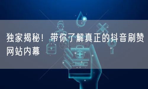 独家揭秘!带你了解真正的抖音刷赞网站内幕