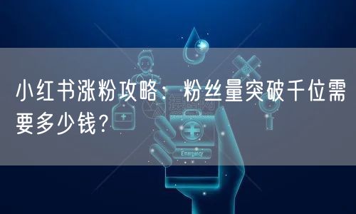 小红书涨粉攻略:粉丝量突破千位需要多少钱?