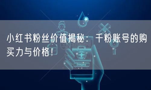 小红书粉丝价值揭秘:千粉账号的购买力与价格!