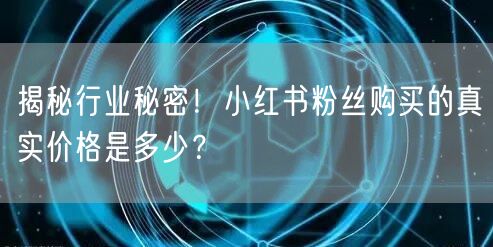 揭秘行业秘密!小红书粉丝购买的真实价格是多少?