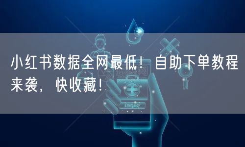 小红书数据全网最低!自助下单教程来袭,快收藏!