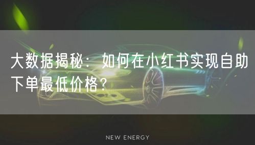 大数据揭秘:如何在小红书实现自助下单最低价格?
