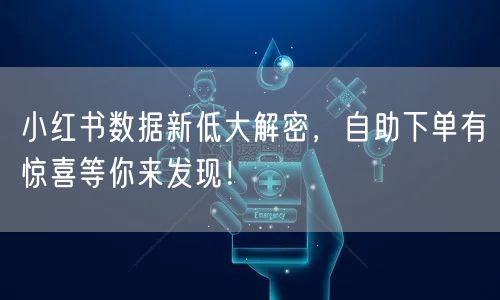 小红书数据新低大解密,自助下单有惊喜等你来发现!