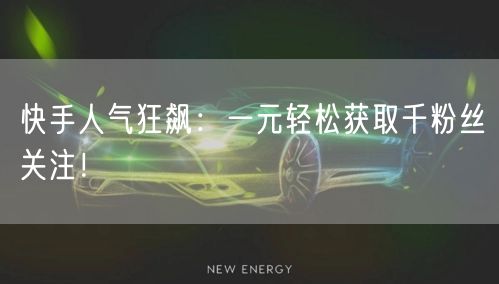 快手人气狂飙：一元轻松获取千粉丝关注！