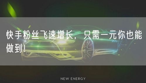 快手粉丝飞速增长，只需一元你也能做到！