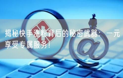 揭秘快手涨粉背后的秘密武器：一元享受专属服务！