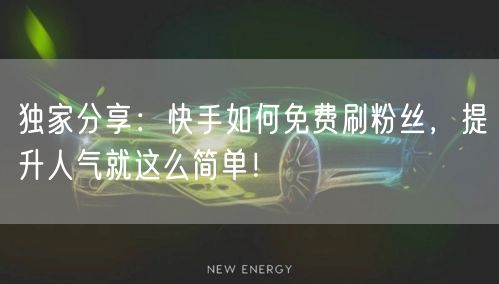 独家分享:快手如何免费刷粉丝,提升人气就这么简单!