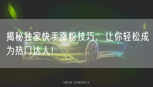 揭秘独家快手涨粉技巧,让你轻松成为热门达人!