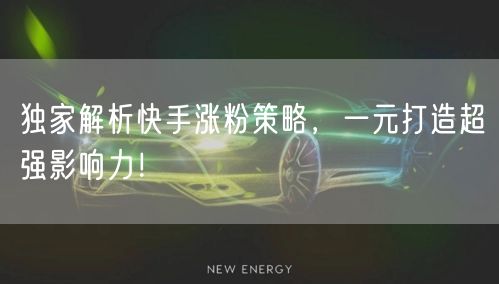 独家解析快手涨粉策略,一元打造超强影响力!