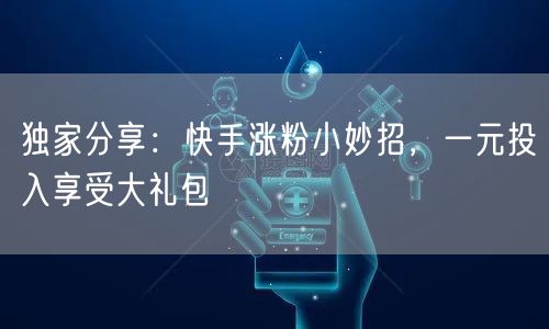 独家分享:快手涨粉小妙招,一元投入享受大礼包