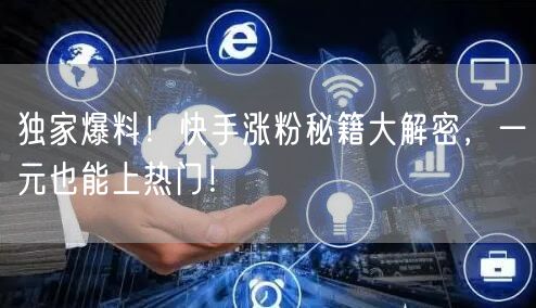 独家爆料!快手涨粉秘籍大解密,一元也能上热门!