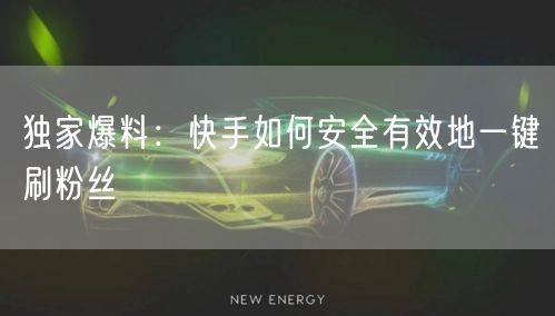 独家爆料:快手如何安全有效地一键刷粉丝