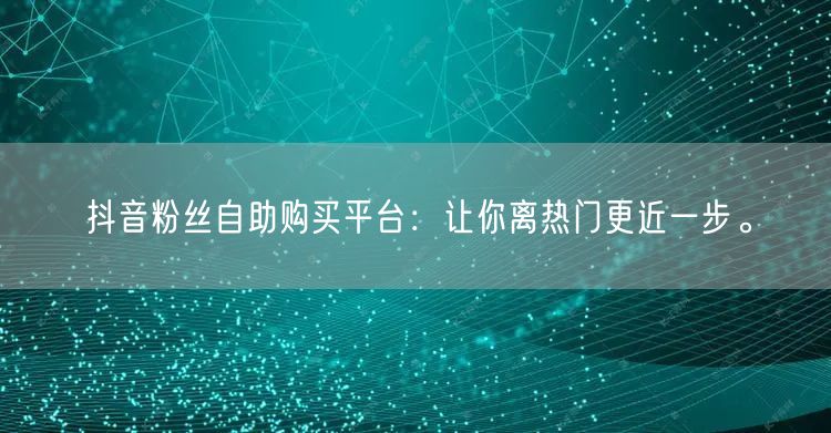 抖音粉丝自助购买平台:让你离热门更近一步。
