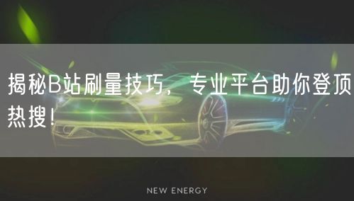 揭秘B站刷量技巧，专业平台助你登顶热搜！