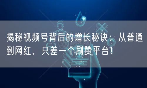 揭秘视频号背后的增长秘诀：从普通到网红，只差一个刷赞平台！