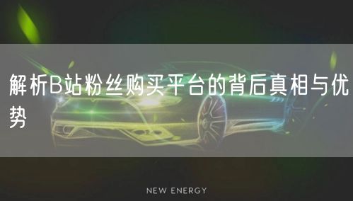 解析B站粉丝购买平台的背后真相与优势