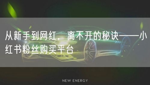 从新手到网红，离不开的秘诀——小红书粉丝购买平台