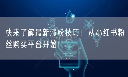 快来了解最新涨粉技巧!从小红书粉丝购买平台开始!