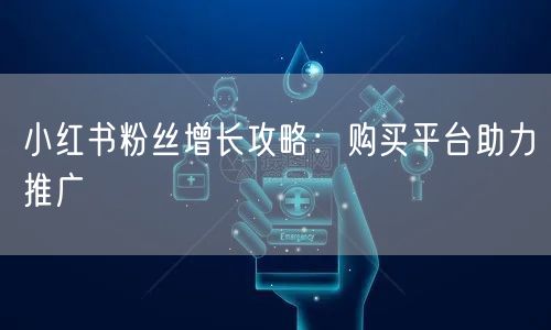 小红书粉丝增长攻略:购买平台助力推广