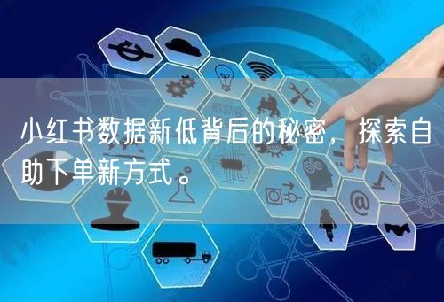 小红书数据新低背后的秘密,探索自助下单新方式。