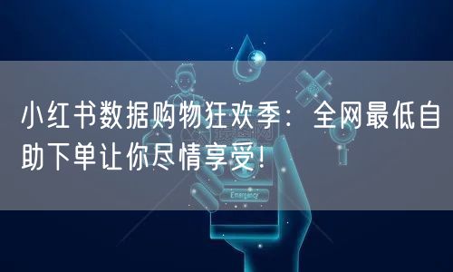 小红书数据购物狂欢季：全网最低自助下单让你尽情享受！