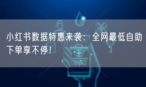 小红书数据特惠来袭：全网最低自助下单享不停！