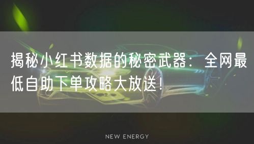 揭秘小红书数据的秘密武器：全网最低自助下单攻略大放送！