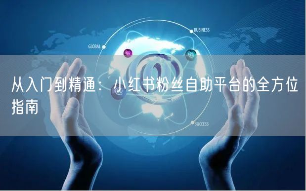 从入门到精通:小红书粉丝自助平台的全方位指南