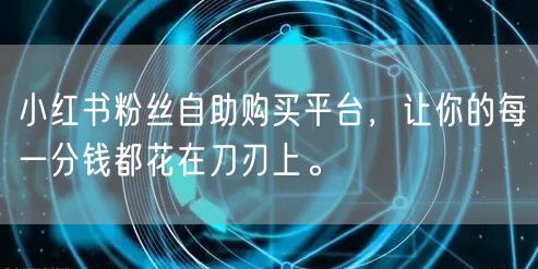 小红书粉丝自助购买平台,让你的每一分钱都花在刀刃上。