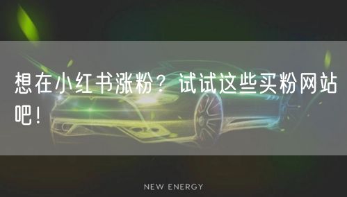 想在小红书涨粉?试试这些买粉网站吧!