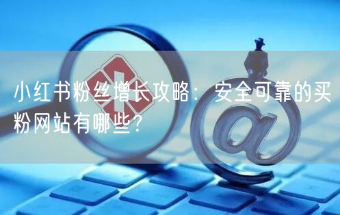 小红书粉丝增长攻略:安全可靠的买粉网站有哪些?