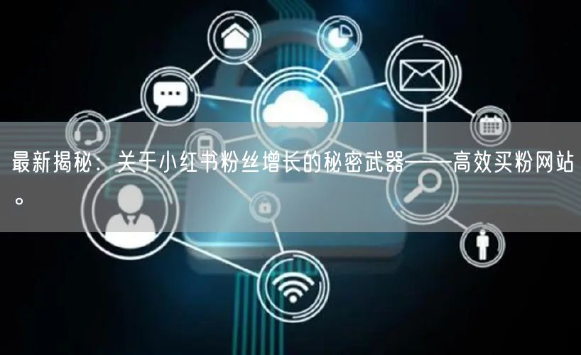 最新揭秘:关于小红书粉丝增长的秘密武器——高效买粉网站。