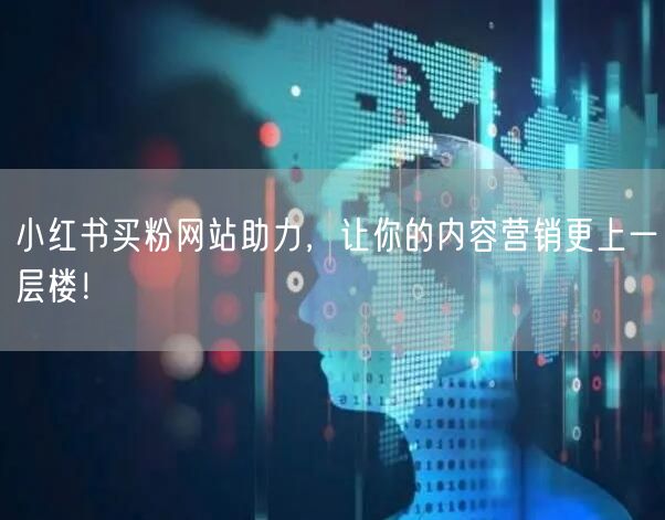 小红书买粉网站助力,让你的内容营销更上一层楼!