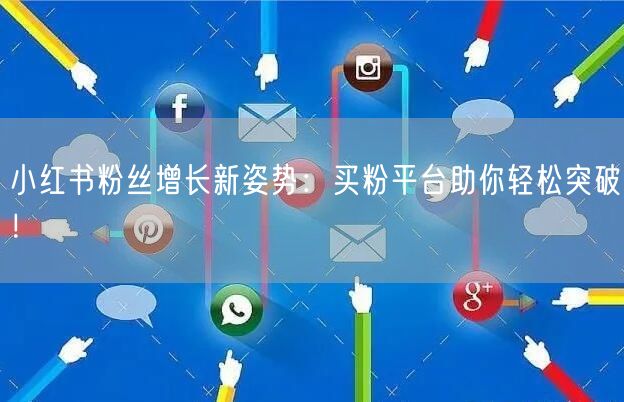 小红书粉丝增长新姿势:买粉平台助你轻松突破!
