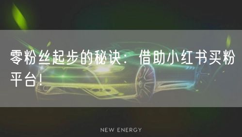 零粉丝起步的秘诀:借助小红书买粉平台!