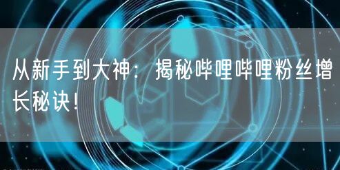 从新手到大神:揭秘哔哩哔哩粉丝增长秘诀!