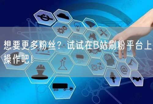 想要更多粉丝？试试在B站刷粉平台上操作吧！