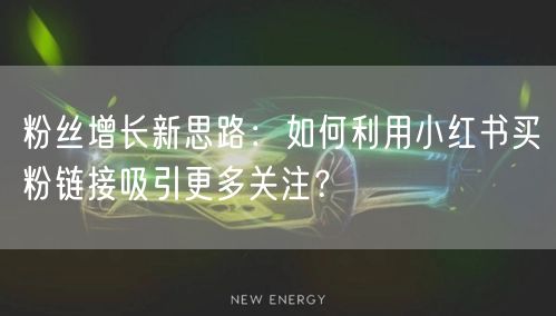 粉丝增长新思路:如何利用小红书买粉链接吸引更多关注?