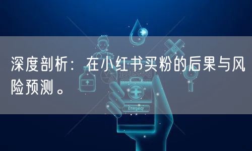 深度剖析:在小红书买粉的后果与风险预测。