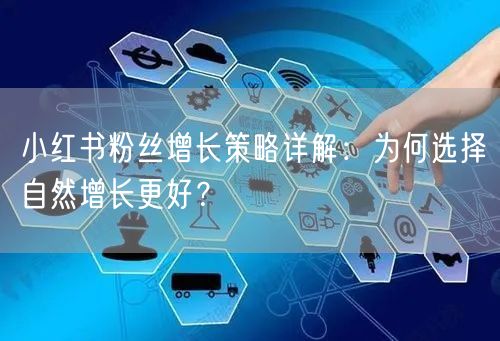小红书粉丝增长策略详解:为何选择自然增长更好?
