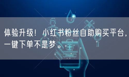 体验升级！小红书粉丝自助购买平台，一键下单不是梦。